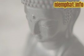 Sự mầu nhiệm & nét đẹp của niệm Phật