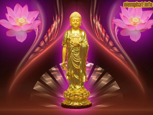 Luật “Nhân Quả” – Nguyên lý cốt lõi của Đạo Phật